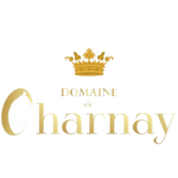 logodomainedecharnay